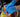 What Are Blue Nitrile Gloves Used for?