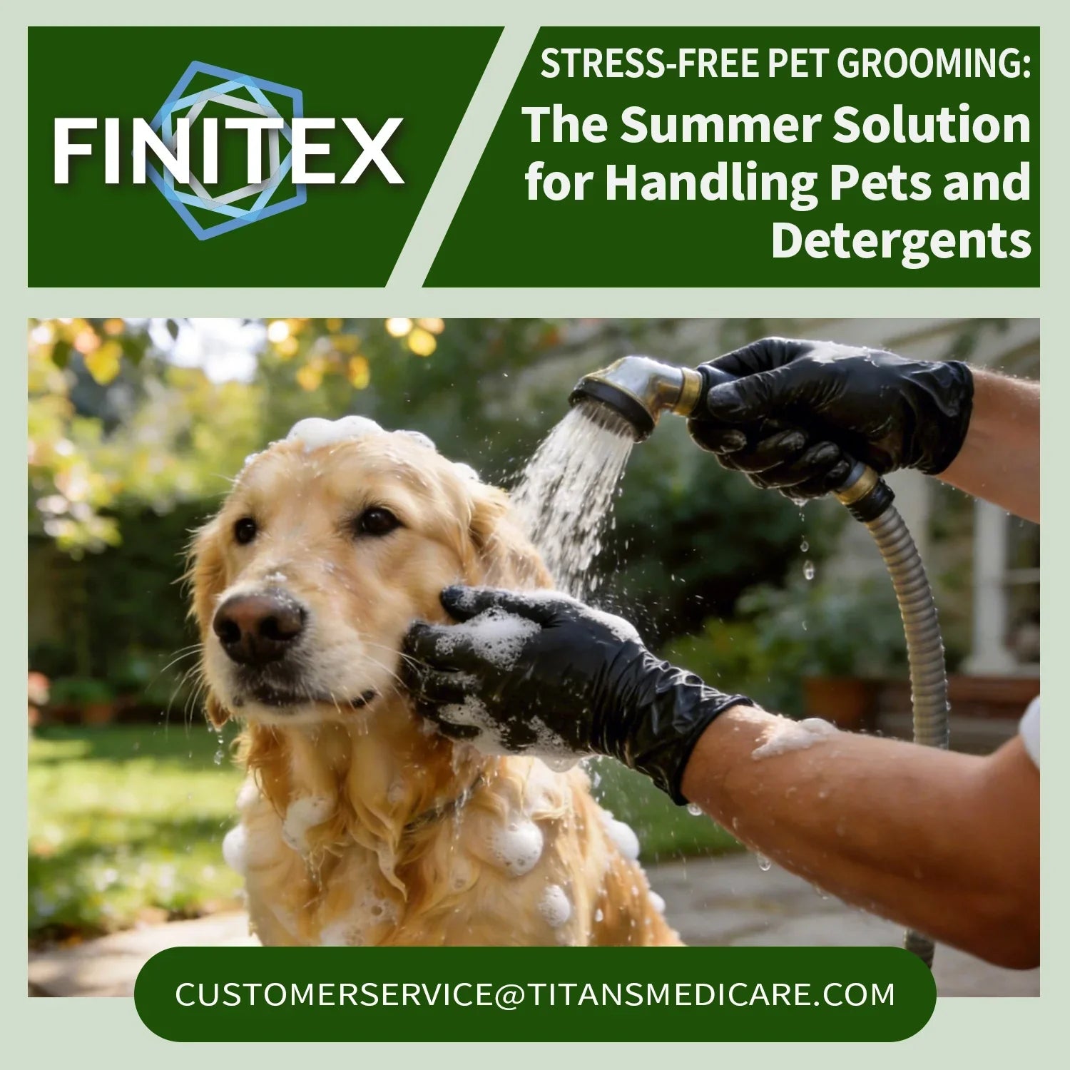 Stress-Free Pet Grooming: The Summer Solution for Handling Pets and De ...